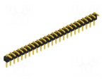 Connector: pin strips | pin header | male | PIN: 24 | THT | 3A | 250V | 1x24