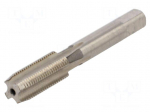 Tap | M8 | 0.75 | L: 50mm | Holder: machine | 4.9mm | Thread: fine thread