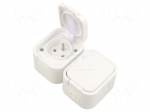 Connector: AC supply | socket | 2P+PE | 250VAC | 16A | white | wall mount