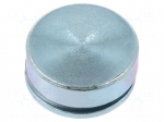 Magnet: permanent | NdFeB | 196N | &Oslash;: 25mm | H: 7mm | zinc plated steel