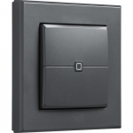 Homematic IP wall switch &ndash; 2-gang (HmIP-WRC2-A-2), switch anthracite