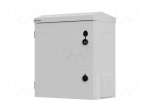 Enclosure: rack cabinet | Standard: 10" | 3U | W: 420mm | H: 500mm | grey
