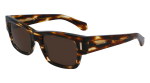 P&auml;ikeseprillid FERRAGAMO MEESTELE SF2011S-216 (L&auml;&auml;ts/Sild/K&otilde;rvaklamber) 53/21/140 mm