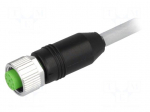Connection lead | M12 | PIN: 8 | straight | 3m | plug | 30VAC | 2A | -20&divide;85&deg;C