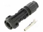 Connector: solar | plug | male | SOLARLOK | IP68 | for cable | crimped