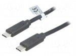 Cable | USB 3.2 Gen 2 | USB C plug,both sides | 1m | black | 10Gbps