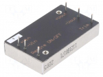 Converter: DC/DC | 40W | Uin: 43&divide;160VDC | Uout: 12VDC | Iout: 0&divide;3333mA