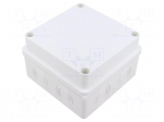 Enclosure: junction box | X: 125mm | Y: 125mm | Z: 80mm | wall mount