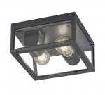 Trio Garonne griestu lampa 2xE27 anthracite   601860242 4017807442397