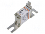 Fuse: fuse | 125A | 690VAC | aR | ceramic,industrial | NH000