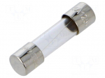 Fuse: fuse | 5A | 250VAC | quick blow | cylindrical,glass | 5x20mm