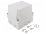 Enclosure: junction box | X: 145mm | Y: 170mm | Z: 154mm | wall mount