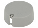 Knob | with pointer | plastic | &Oslash;shaft: 6mm | &Oslash;40x16mm | grey | push-in