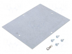 Mounting plate | steel