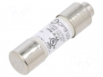Fuse: fuse | 6A | 600VAC | 300VDC | time-lag | cylindrical,industrial
