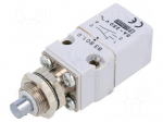 Limit switch | SPDT | 5A | max.250VAC | IP55 | -20&divide;70&deg;C