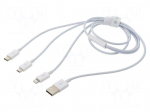 Cable | High Speed,USB 2.0 | 1m | white | 3.5A