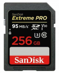 Other Computer Accessory SANDISK BY WESTERN DIGITAL  MEMORY SDXC 256GB UHS-1/SDSDXXD-256G-GN4IN SANDISK