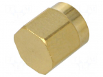 Accessories: protection cover | chain | gold-plated | IP67