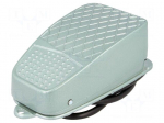 Switch: foot | Stabl.pos: 1 | SPDT | 10A/250VAC | Leads: 1m lead | IP50