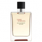 Hermes Terre d'Hermes EDP 100ml