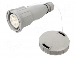 Connector: AC supply 3-phase | plug | female | 63A | 400VAC | IEC 60309