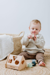 Another product iLike  Jaunums! Baby's only koka formu &scaron;ķiro&scaron;anas rotaļlieta  māja  10+  Earth BO-860.863.800.50