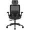 Computer chairs / desks COUGAR GAMING  COUGAR SPEEDER ONE Gaming chair  Black CGR-SPO-BLB (4710483778087)