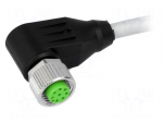 Connection lead | M12 | PIN: 8 | angled | 3m | plug | 30VAC | 2A | -20&divide;85&deg;C