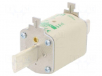 Fuse: fuse | aM | 250A | 690VAC | ceramic,industrial | NH1 | WT-NH