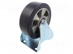 Transport wheel | &Oslash;: 160mm | W: 50mm | H: 193mm | rigid | 500kg | -20&divide;80&deg;C