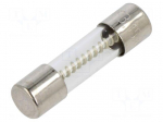 Fuse: fuse | 3.15A | 250VAC | time-lag | cylindrical,glass | 5x20mm | FTT