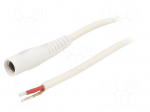 Cable | 1x1mm2 | wires,DC 5,5/2,1 socket | straight | white | 3m | round