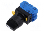 Switch: rotary | 22mm | Stabl.pos: 2 | NO x2 | black | none | IP65 | YW