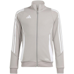 Sweatshirt for kids adidas Tiro 24 Training gray IR9508 152cm