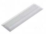 Profiles for LED modules | white | surface | natural | L: 1m | anodized