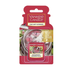 Yankee Candle Car Jar Ultimate Red Raspberry 24g
