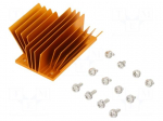 Heatsink: extruded | grilled | BGA | golden | L: 58mm | W: 37mm | H: 22.9mm