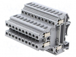 Splice terminal: rail | 0.2&divide;4mm2 | ways: 2 | terminals: 4 | grey | 32A