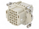 Connector: HDC | contact insert | female | DDD | PIN: 24 | 24+PE | crimped