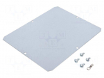 Mounting plate | steel