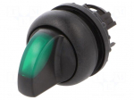 Switch: rotary | 22mm | Stabl.pos: 2 | green | M22-FLED,M22-LED | IP67