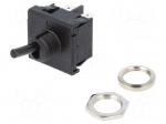 Switch: toggle | Pos: 2 | DPST | ON-OFF | 6A/250VAC | Leads: connectors
