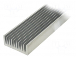 Heatsink: extruded | grilled | natural | L: 1000mm | W: 100mm | H: 40mm