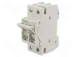 Fuse disconnector | D01 | for DIN rail mounting | 10A | Poles: 1+N