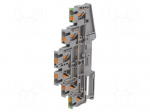 Splice terminal: rail | PT | 20A | 800V | for DIN rail mounting | 5.2mm