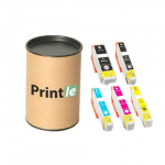Epson 33XL kassettide komplekt c/m/y/bk/pbk (Printle)  (with chip)