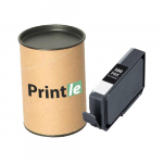 Canon PFI-300PBK (4193C001) photo black 14ml (Printle) PFI300PBK (with chip)