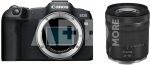 Canon EOS R8 + RF24-105 F4-7.1 IS STM