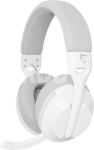 WGH-2441 Falcon White/Grey